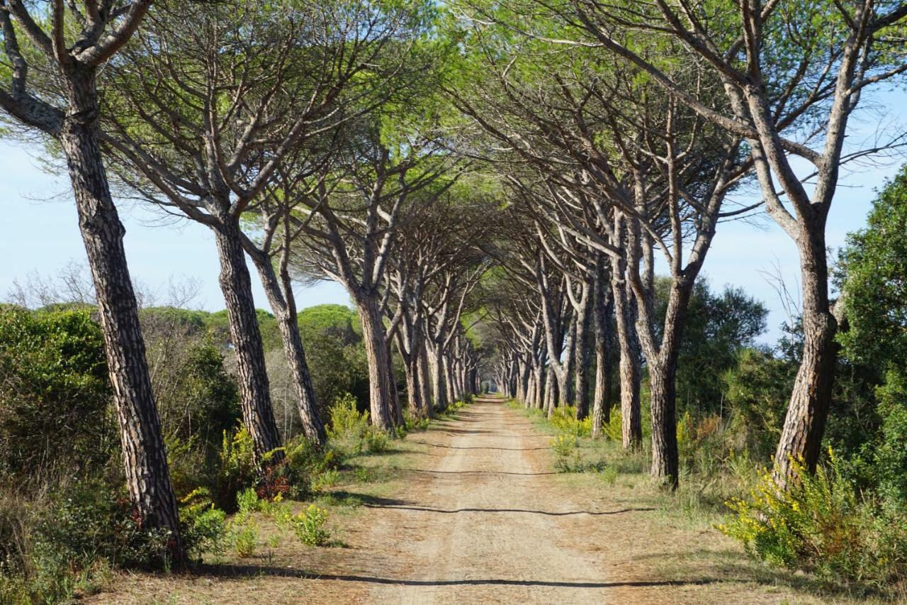 Tenuta San Carlo Marina di Grosseto Bagian luar foto
