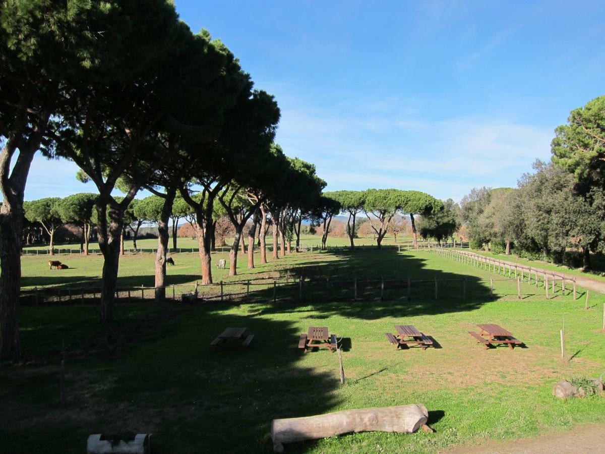 Tenuta San Carlo Marina di Grosseto Bagian luar foto