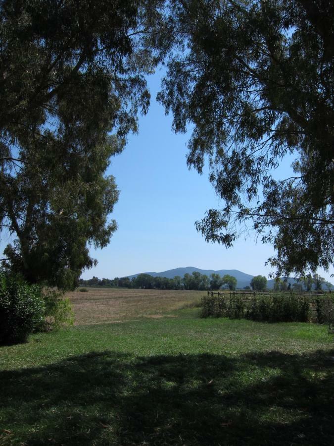 Tenuta San Carlo Marina di Grosseto Bagian luar foto