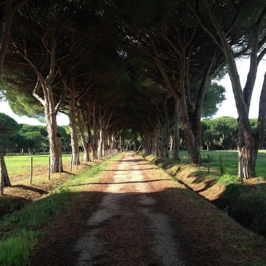 Tenuta San Carlo Marina di Grosseto Bagian luar foto