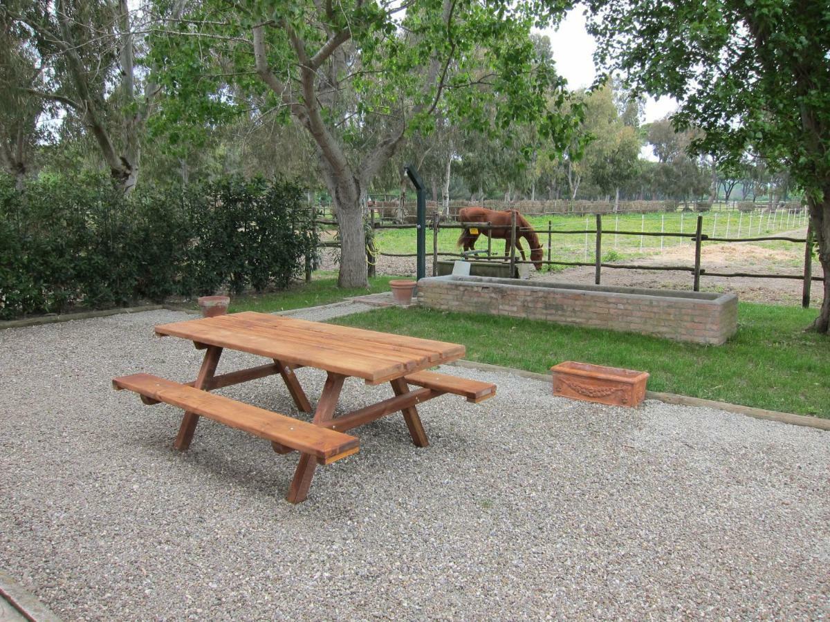 Tenuta San Carlo Marina di Grosseto Bagian luar foto